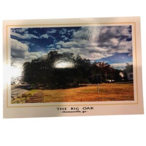 Big Oak Postcard