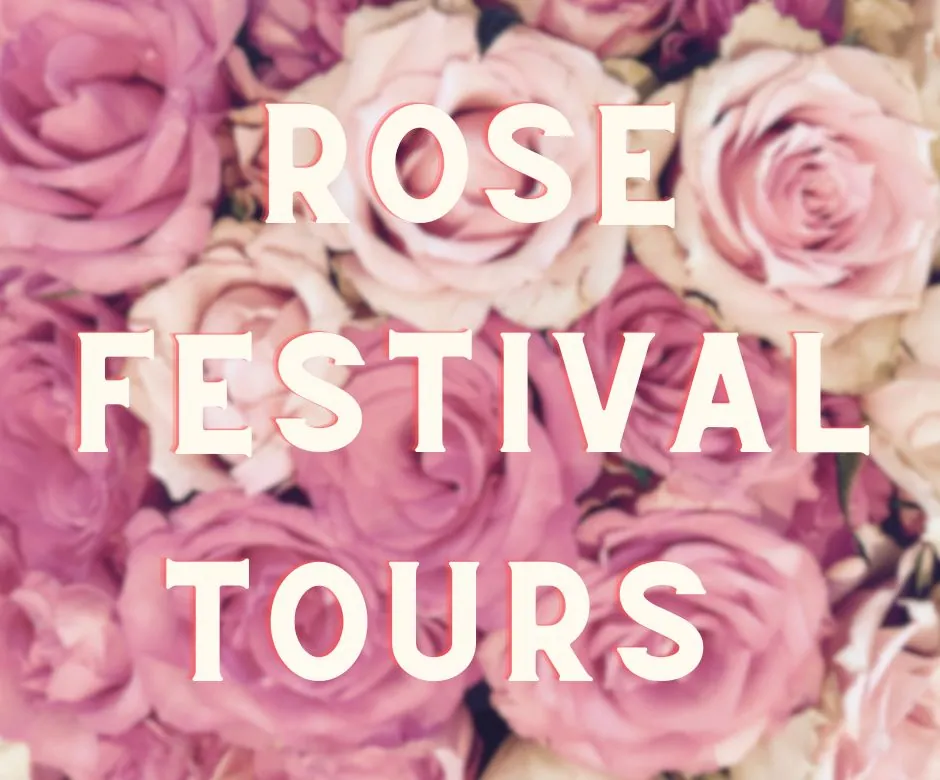 rose show & Festival Hours