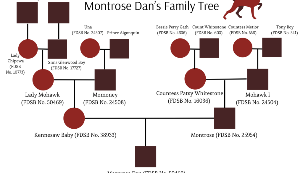 Montrose Dan Image 8.21.24