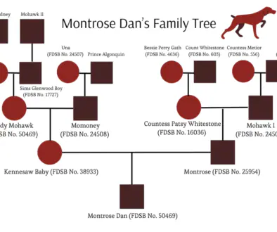 Montrose Dan Image 8.21.24