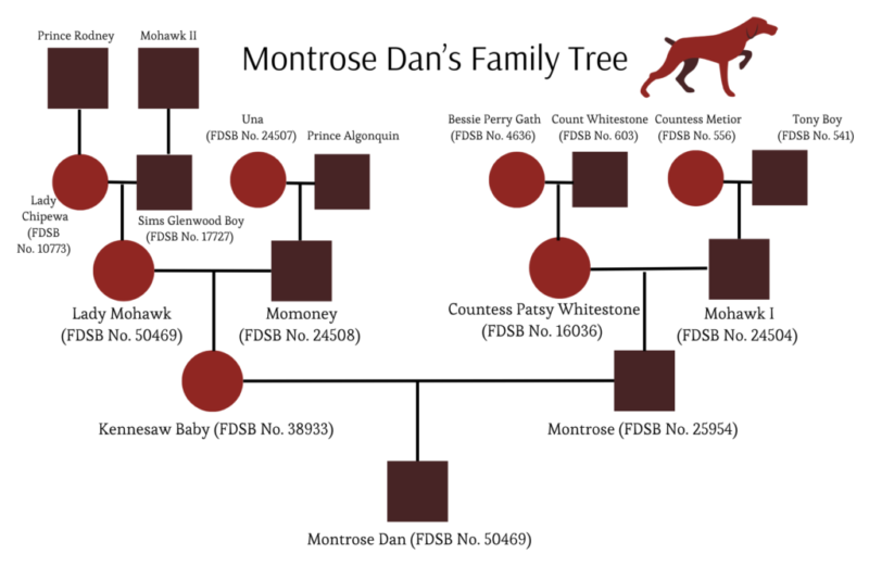 Montrose Dan Image 8.21.24