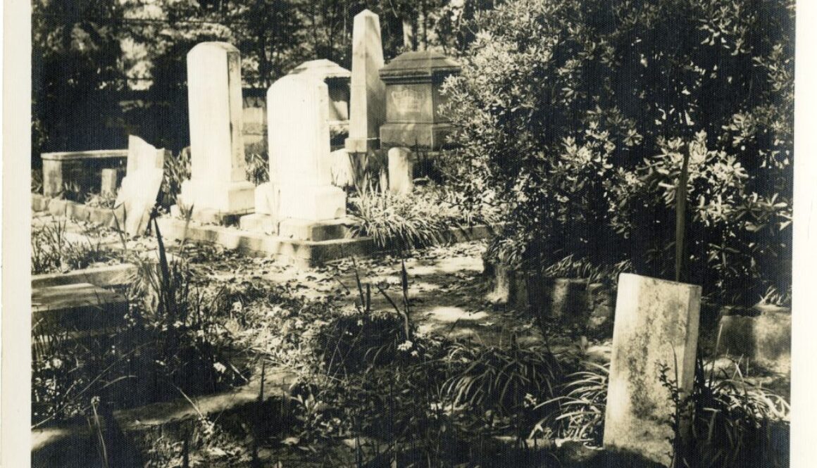 Old City Cemetery - 04-11-1941 - 1978.010.1252