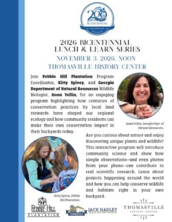 Tville 200 Timeline