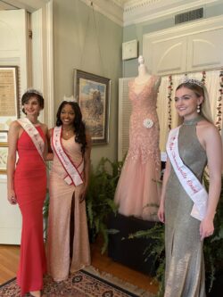 Rose Show Exhibit 2022