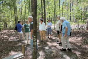 IMG_2623 IMG_2623